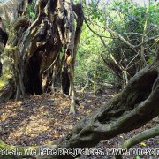 Tengragiri Wildlife Sanctuary